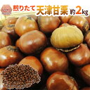 ”天津甘栗” 約2kg(約500g×4pc) こだわり産地限定!採れたて新栗♪焼きたて・炒りたてを詰めました!【予約 10月中旬以降】 送料無料