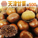 ”天津甘栗” 約500g【ポスト投函送料無料】【予約 入荷次第発送】