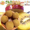 ”香川県 さぬきゴールド” 秀品 超大玉4L以上 4~6玉 約1kg【予約 10月下旬以降】