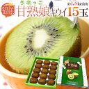 福岡県 八女産 ”甘熟娘(うれっこ)キウイ” 秀品 15玉 約1.8kg前後 化粧箱【予約 12月中旬以降】 送料無料