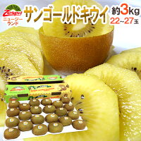 ゼスプリ ”サンゴールドキウイ” 22〜27玉 約3kg【予約 4月下旬以降】 送料無料