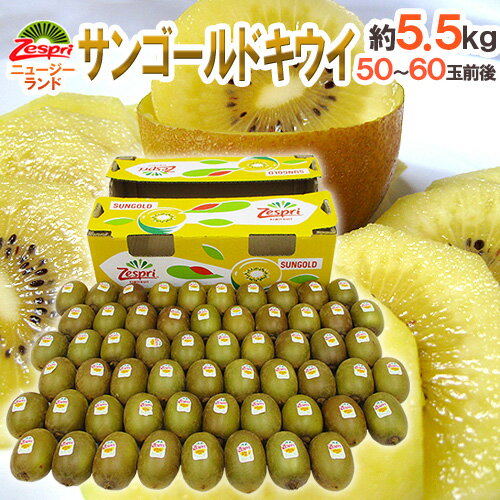 ゼスプリ ”サンゴールドキウイ” 50〜60玉 約5.5kg 送料無料