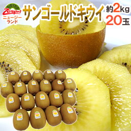 キウイ ゼスプリ ニュージーランド ”サンゴールドキウイ” 20玉 約2kg【予約 4月下旬以降】 送料無料