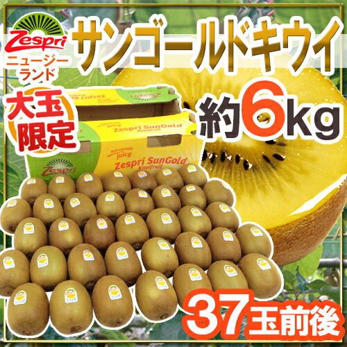 ゼスプリ ”サンゴールドキウイ” 大玉 37玉前後 約6kg【予約 4月下旬以降】 送料無料