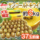 ゼスプリ ”サンゴールドキウイ” 大玉 37玉前後 約6kg【予約 4月下旬以降】 送料無料