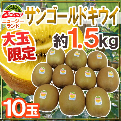 キウイ ゼスプリ ”サンゴールドキウイ” 大玉 10玉 約1.5kg【予約 4月下旬以降】 送料無料