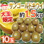 ゼスプリ ”サンゴールドキウイ” 大玉 10玉 約1.5kg【予約 4月下旬以降】 送料無料