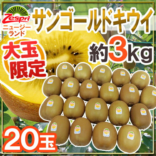 キウイ ゼスプリ ”サンゴールドキウイ” 大玉 20玉 約3kg【予約 4月下旬以降】 送料無料