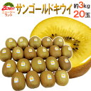 キウイ ゼスプリ ”サンゴールドキウイ” 大玉 20玉 約3kg【予約 4月下旬以降】 送料無料