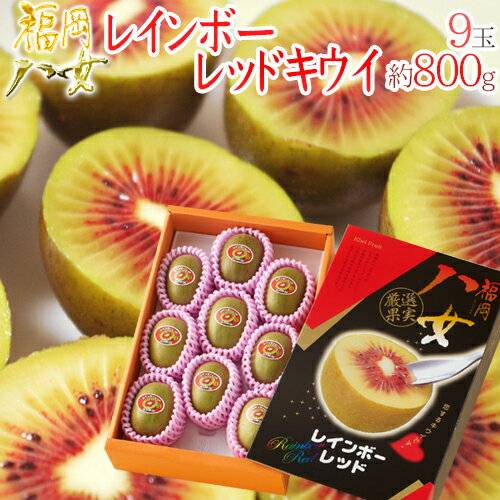 福岡 八女産 ”レインボーレッドキウイ” 秀品 9玉 約800g 化粧箱【予約 10月以降】のサムネイル