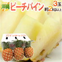 沖縄産 ”ピーチパイン” 3玉 約2kg以上 専用産地箱 パイナップル【予約 3月下旬以降】 送料無料