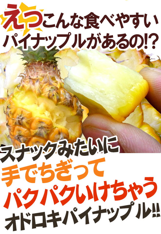 沖縄産 ”スナックパイン” 2〜3玉 約1.5kg以上×《2箱》 専用産地箱 パイナップル【予約 4月下旬以降】 送料無料