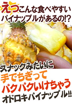 【送料無料】沖縄産 ”スナックパイン” 6〜8玉前後 約5kg【予約 3月下旬以降】