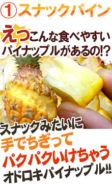 【送料無料】沖縄産 ”スナックパイン＋ピーチパイン食べ比べセット” 2〜3玉 約1.5kg以上×《2箱》 専用産地箱 パイナップル【予約 4月下旬以降】