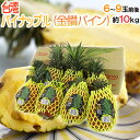 ”甘熟台湾パイン” 6~9玉前後 約10kg パイナップル/金鑚パイン/金鑚鳳梨【予約 3月以降】 送料無料