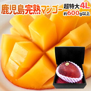 【父の日】濃厚な甘さが堪能できる美味しいマンゴーのおすすめは？