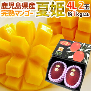 【鹿児島産マンゴー】とろけるような食感！美味しいマンゴーのおすすめは？