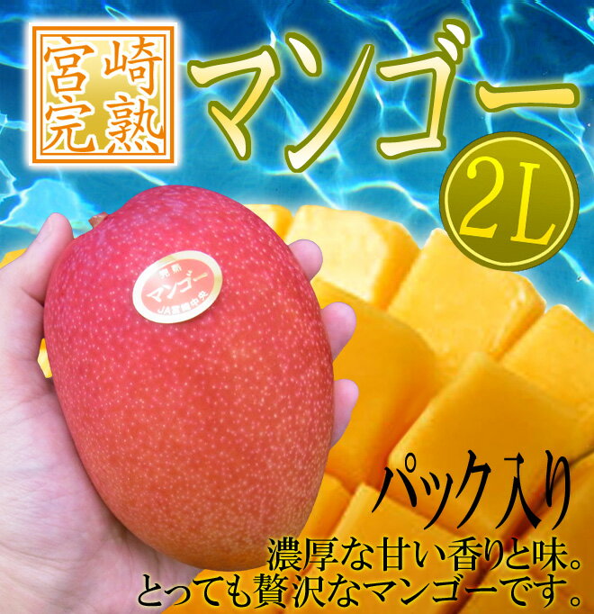 ”宮崎完熟マンゴー” 秀品 2Lサイズ 350g〜459g パック入り 宮崎マンゴー【予約 3月下旬以降】
