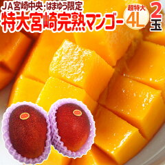 https://thumbnail.image.rakuten.co.jp/@0_mall/auc-kurashi-kaientai/cabinet/2031mango/045-4l2bk01.jpg