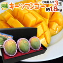 沖縄産 ”キーツマンゴー” 秀品 3玉 約1.8kg 化粧箱入り【予約 8月中旬以降】 送料無料
