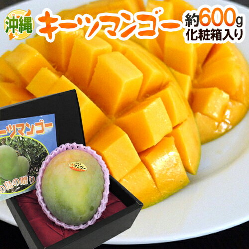 沖縄産 ”キーツマンゴー” 秀品 1玉 約600g 化粧箱入り【予約 8月中旬以降】 送料無料
