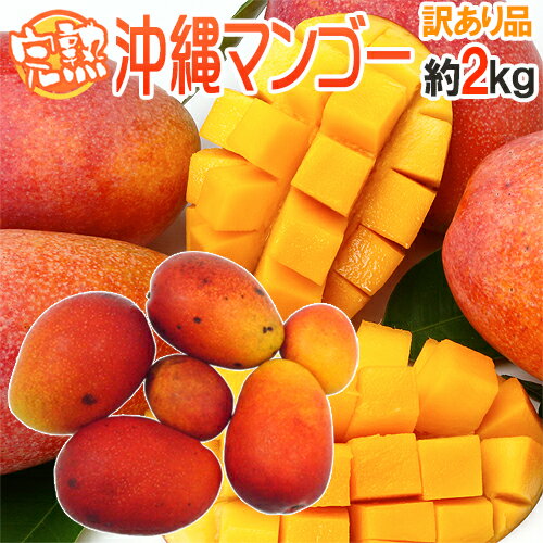楽天市場】沖縄 マンゴー（総個数5個入り）（食品）の通販