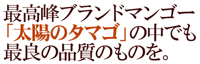 宮崎完熟マンゴー ”太陽のタマゴ” JA宮崎中央 大玉2L3玉 or 特大3L2玉 最高等級 赤秀限定【予約 4月以降】 送料無料