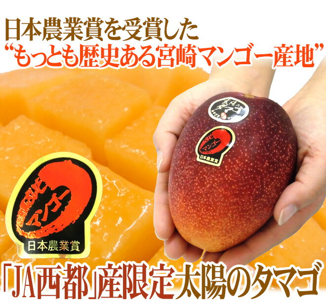 宮崎完熟マンゴー ”太陽のタマゴ” JA西都 大玉2L 3玉入り 最高等級 赤秀限定【予約 4月以降】 送料無料