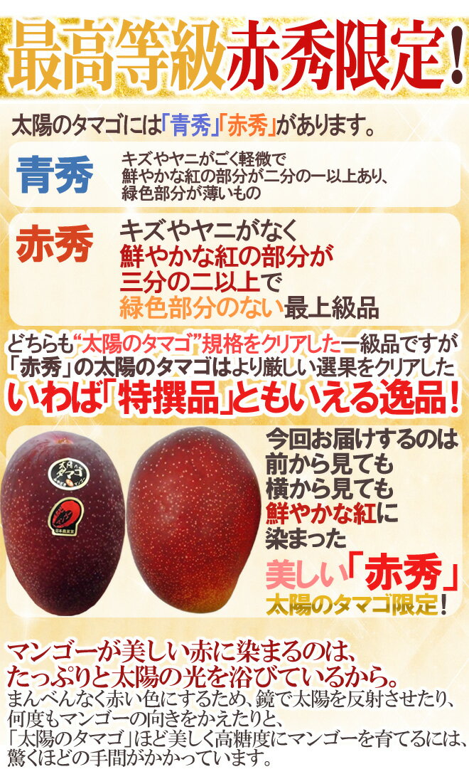 宮崎完熟マンゴー ”太陽のタマゴ” JA西都 大玉2L 3玉入り 最高等級 赤秀限定【予約 4月以降】 送料無料