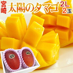 https://thumbnail.image.rakuten.co.jp/@0_mall/auc-kurashi-kaientai/cabinet/2031tamago/045-tamago2l2by01.jpg