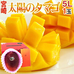 https://thumbnail.image.rakuten.co.jp/@0_mall/auc-kurashi-kaientai/cabinet/2031tamago/045-tamago5l01.jpg