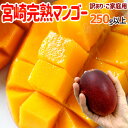 ”宮崎完熟マンゴー” 訳あり 1玉約250g以上 小玉Mサイズ 《4玉以上ご購入で送料無料!8玉以上で1玉おまけ》【予約 5月下旬以降】