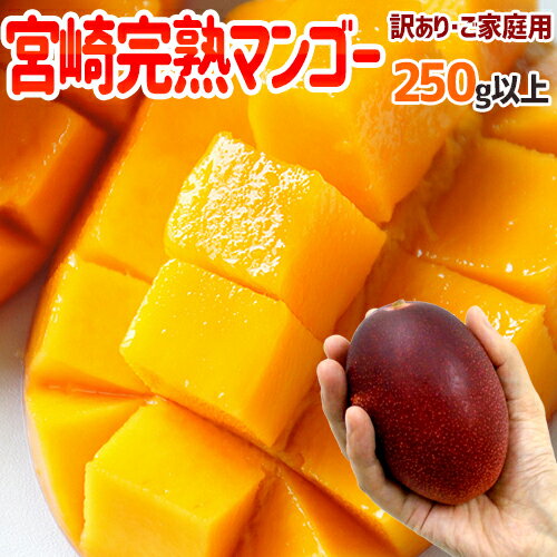 トロ〜リ濃厚、宮崎マンゴー♪高級フルーツをお手頃価格で！”宮崎完熟...
