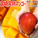 ”宮崎完熟マンゴー” 訳あり 1玉約350g以上 大玉2Lサイズ《4玉以上ご購入で送料無料!8玉以上で1玉おまけ》【予約 5月下旬以降】