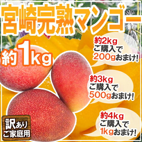 ”宮崎マンゴー” 訳あり 2〜4玉前後 約1kg《2kg購入で200g、3kg購入で500g、4kg ...