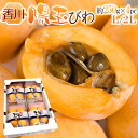 香川県 ”陽玉びわ（ヨウギョク）” 秀品 L/2Lサイズ 約250g×4pc（計約1kg） 枇杷【予約 5月下旬以降】 送料無料