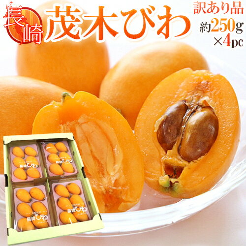 茧 hΖ؂тh 󂠂 L 2LTCY 250g~4pc 1kg  \ 3{ȍ~   