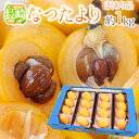 生産地 長崎県 内容量 約250g×4pc（計約1kg）（生ものですので多少の前後はお許しください） 等級・サイズ 訳あり品 大きさおまかせ 保存方法 冷蔵庫で保管し、なるべくお早目にお召し上がりください。 送料 送料無料（北海道は送料1,000円、沖縄県は送料2,000円頂戴いたします） ※送料無料ライン対象商品について 常温配送の商品に限り、3,980円以上のご購入で送料無料！（沖縄県宛は9,800円以上のご購入で送料無料） 但し、1つにまとめて配送できない場合は、別途送料が必要となる場合がございます。 詳細はコチラをご確認ください。 発送予定日及びお届け日のご指定 ◆ 予約商品の場合 ◆ ※ 商品名に【予約】と記載されている商品が予約商品となります。 入荷開始後及び、入荷次第の発送となります。 現在まだ入荷が開始されていない商品につきましては商品タイトルに記載しております時期を目安にお考え下さい。 天候・入荷状況によってはお届け時期が大幅に前後する場合がございます。 また、予約商品についてはお届け日のご指定は不可となっております。 帰省や旅行等で、ご不在でお受け取りが出来ないお日にちがある場合は、ご注文の際にご都合の悪いお日にちを【ご要望欄】にご記入ください。 ご予定が変わった場合もその都度ご連絡いただければ、出来るだけ対応させていただきます。 お届け日の確定・お知らせは発送日当日となります。 どうぞご了承ください。 ◆ 通常商品の場合 ◆ ご注文受付後、1〜5営業日の出荷となります。 入荷状況によってはお待ちいただくこともございます。 なお、ご注文のタイミングによっては即日の発送となる場合もございますのでご都合の悪いお日にち等ございましたらご注文の際、【ご要望欄】にお書き頂きますようお願い申し上げます。 ご希望のお届け日がある場合は【ご要望欄】にその旨ご記入ください。 ※なるべく前もってのご注文をおすすめ致します。 入荷状況によってはご要望にお応えできない場合もございます。 その際は早めにご連絡させていただきます。 配送方法 ヤマト運輸【びわ】【ビワ】【枇杷】【フルーツ】【果物】【1キロ】