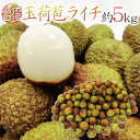 ”生グリーンライチ 玉荷苞（ぎょっかほう）” 約5kg 台湾産 レイシ 茘枝 玉荷包【予約 5月末以降】 送料無料 その1