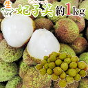 生産地 中国 内容量 約1kg（生ものですので多少の前後はお許しください） 等級・サイズ 正品 保存方法 冷暗所・冷蔵庫で保管し、なるべくお早目にお召し上がりください。 送料 送料900円（北海道は送料1,900円、沖縄県は送料2,900円頂戴いたします） 8kgまで同梱可能→1件分の送料で発送できます。 ※送料無料ライン対象商品について 常温配送の商品に限り、3,980円以上のご購入で送料無料！（沖縄県宛は9,800円以上のご購入で送料無料） 但し、1つにまとめて配送できない場合は、別途送料が必要となる場合がございます。 詳細はコチラをご確認ください。 発送予定日及びお届け日のご指定 ◆ 予約商品の場合 ◆ ※ 商品名に【予約】と記載されている商品が予約商品となります。 入荷開始後及び、入荷次第の発送となります。 現在まだ入荷が開始されていない商品につきましては商品タイトルに記載しております時期を目安にお考え下さい。 天候・入荷状況によってはお届け時期が大幅に前後する場合がございます。 また、予約商品についてはお届け日のご指定は不可となっております。 帰省や旅行等で、ご不在でお受け取りが出来ないお日にちがある場合は、ご注文の際にご都合の悪いお日にちを【ご要望欄】にご記入ください。 ご予定が変わった場合もその都度ご連絡いただければ、出来るだけ対応させていただきます。 お届け日の確定・お知らせは発送日当日となります。 どうぞご了承ください。 ◆ 通常商品の場合 ◆ ご注文受付後、1〜5営業日の出荷となります。 入荷状況によってはお待ちいただくこともございます。 なお、ご注文のタイミングによっては即日の発送となる場合もございますのでご都合の悪いお日にち等ございましたらご注文の際、【ご要望欄】にお書き頂きますようお願い申し上げます。 ご希望のお届け日がある場合は【ご要望欄】にその旨ご記入ください。 ※なるべく前もってのご注文をおすすめ致します。 入荷状況によってはご要望にお応えできない場合もございます。 その際は早めにご連絡させていただきます。 配送方法 ヤマト運輸【ライチ】【レイシ】【茘枝】【玉荷苞】【玉荷包】【ぎょっかほう】【ぎょくかほう】【妃子笑】【ひししょう】【生ライチ】【台湾ライチ】【トロピカルフルーツ】【フルーツギフト】【お中元】【1キロ】【フルーツ】【果物】【1キロ】