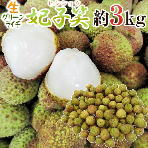 ”生グリーンライチ 妃子笑（ひししょう）” 約3kg 中国産 レイシ 茘枝【予約 5月下旬以降】 送料無料