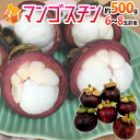 生産地 タイ 内容量 6〜8玉前後 約500g（生ものですので多少の前後はお許しください） 等級・サイズ 正品　M〜L 保存方法 冷暗所・冷蔵庫で保管し、なるべくお早目にお召し上がりください。 送料 送料無料（北海道は送料1,000円、沖縄県は送料2,000円頂戴いたします） ※送料無料ライン対象商品について 常温配送の商品に限り、3,980円以上のご購入で送料無料！（沖縄県宛は9,800円以上のご購入で送料無料） 但し、1つにまとめて配送できない場合は、別途送料が必要となる場合がございます。 詳細はコチラをご確認ください。 発送予定日及びお届け日のご指定 ◆ 予約商品の場合 ◆ ※ 商品名に【予約】と記載されている商品が予約商品となります。 入荷開始後及び、入荷次第の発送となります。 現在まだ入荷が開始されていない商品につきましては商品タイトルに記載しております時期を目安にお考え下さい。 天候・入荷状況によってはお届け時期が大幅に前後する場合がございます。 また、予約商品についてはお届け日のご指定は不可となっております。 帰省や旅行等で、ご不在でお受け取りが出来ないお日にちがある場合は、ご注文の際にご都合の悪いお日にちを【ご要望欄】にご記入ください。 ご予定が変わった場合もその都度ご連絡いただければ、出来るだけ対応させていただきます。 お届け日の確定・お知らせは発送日当日となります。 どうぞご了承ください。 ◆ 通常商品の場合 ◆ ご注文受付後、1〜5営業日の出荷となります。 入荷状況によってはお待ちいただくこともございます。 なお、ご注文のタイミングによっては即日の発送となる場合もございますのでご都合の悪いお日にち等ございましたらご注文の際、【ご要望欄】にお書き頂きますようお願い申し上げます。 ご希望のお届け日がある場合は【ご要望欄】にその旨ご記入ください。 ※なるべく前もってのご注文をおすすめ致します。 入荷状況によってはご要望にお応えできない場合もございます。 その際は早めにご連絡させていただきます。 配送方法 ヤマト運輸【フルーツ】【果物】