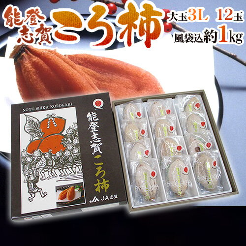 石川県 ”能登志賀ころ柿” 大粒3Lサイズ 12玉 風袋込約1kg 化粧箱 枯露柿 GIマーク付き【予約 12月中旬以降】 送料無料