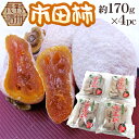 長野・南信州産 ”市田柿 4pc 約680g”(1pc約170g) L〜3L【ポスト投函送料無料】【予約 12月以降】