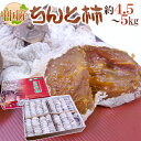 ”ちんと柿” L〜3L 約4.5〜5kg 中国産 送料無料