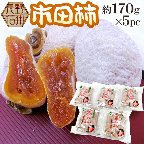 長野・南信州産 ”市田柿” 約170g×5pc（1パックに4〜8個前後）L〜3L【予約 12月以降】 送料無料