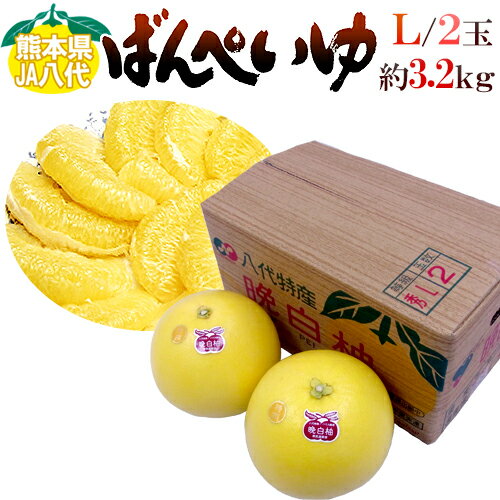 熊本県八代特産 ”晩白柚” ばんぺいゆ 秀品 Lサイズ 2玉 化粧箱入り【予約 12月以降】 送料無料のサムネイル