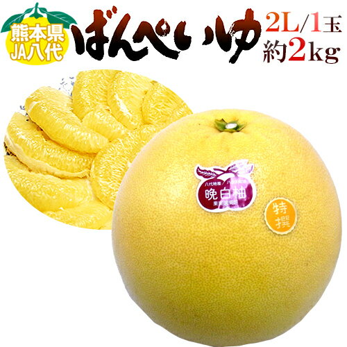 熊本県八代特産 ”晩白柚” ばんぺいゆ 秀品 2Lサイズ 約2kg【予約 1月以降】のサムネイル