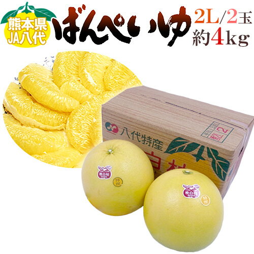 熊本県八代特産 ”晩白柚” ばんぺいゆ 秀品 2Lサイズ 2玉（1玉重量約2kg） 化粧箱入り【予約 12月以降】 送料無料