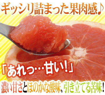 【送料無料】南アフリカ産 ”グレープフルーツ ルビー” 大玉9〜12玉前後 約5kg【予約 6月中旬以降】